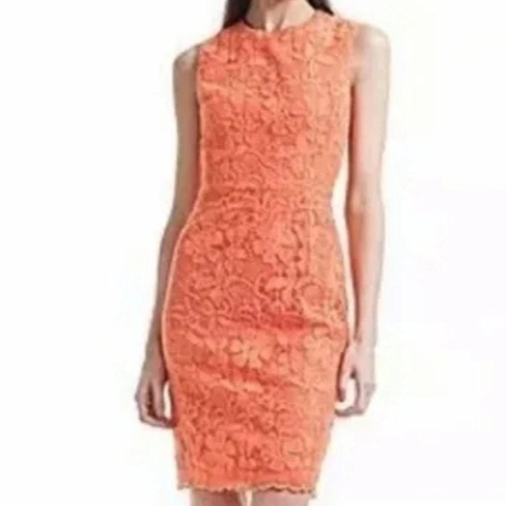 Belle Badgley Mischka Floral Embroidered Overlay Sheath Dress Sz 14